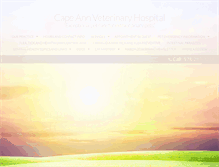 Tablet Screenshot of capeannvet.com